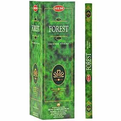 HEM forest.jpg